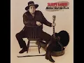 Boogie Woogie Country Man (Live) - Sleepy LaBeef