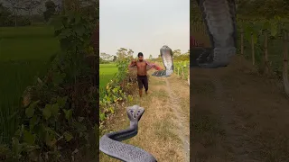 Sara Gama Teri Uchi Gai Hara Hara Dhambhu Cnake Au 