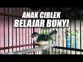 CIBLEK ANAKAN BAJAR BUNYI | NGRIWIK | NATA LAGU