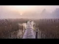 Marsh at Dawn with Water Birds Calling