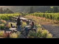 Newberg winery keeps strong focus on sustainability