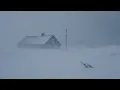 Download Lagu Intense Snowstorm \u0026 Howling Winds | Deep Sleep and Stress Relief with Blizzard Sounds