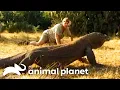 Steve Irwin Confronts a GIANT Komodo Dragon The Crocodile Hunter Animal Planet