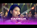 CAMELIA Irwansyah - NOVIA ROZMA X NR MUSIC