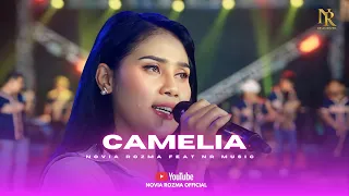 camelia irwansyah novia rozma x nr music 