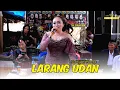 Download Lagu Sragenan Nyemek, Larang Udan ( Panase Kok Koyo Ngene ) SETYA BUDAYA - BG AUDIO - OVS HD