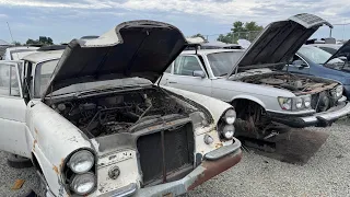 2 Beasts of the Autobahn at Picknpull Junkyard 1963 Mercedes-Benz W111 1980 W116 Turbo Diesel