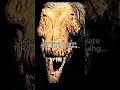 Download Lagu The REAL Scientific T-Rex Sound will Haunt You!! #dinosaur #trex #stegosaurus