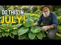 Your Hosta Needs This in Every July Most Gardeners Get It Totally Wrong