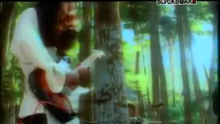 fenomena tiada yang lain