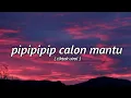 🔊🎶Dj Pipipipip Calon Mantu Mau Lewat🔊🎶 | DJ TikTok Viral