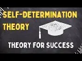 Self-Determination Theory Explained in 3 Minutes