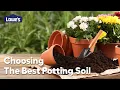 Choosing the Best Potting Soil Guide