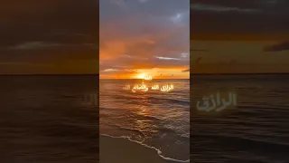 الشيخ نصر الدين طوبار سبحت لله الطيور 