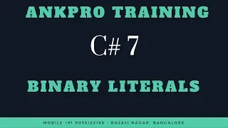 C 7 Chapter 2 Binary literals