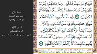 6 الصفحة 192 يريدون أن يطفئوا نور الله بأفواههم ماهر المعيقلي مكررة 10 مرات 