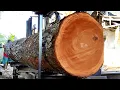 Download Lagu A horrifying process!! Sawing a giant mahogany tree measuring 15 feet in length 