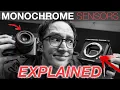 Download Lagu EXPLAINED: Monochrome Sensors (Leica Q2 + Red Komodo 6K)