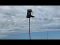 Driving You Crazy What are those new things all along C-470