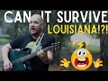 Download Lagu Kan deze gitaar de regen en hitte van Louisiana overleven!?! Mijn @emeraldguitars X30 in Vibrant ...