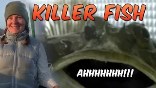 Killer Fish | #28 | DrakeParagon Sailing Season 5