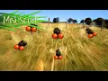 Download Lagu Minuscule - Fly hunting / Chasse à mouche (Season 2)