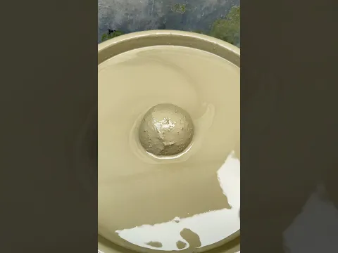 Cleaning Coconut satisfying asmr