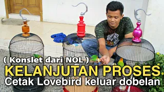 Download CARA CETAK LOVEBIRD KELUAR DOBELAN / KONSLET.Om Novi Gemilang Abadi SF Banjarnegara MP3