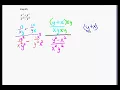 26d Complex Fractions example 3