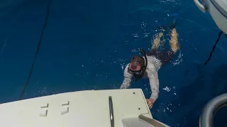 Prop Falling OFF + 40 Knot Storms = CRAZY Mozambique Channel Passage! – Ep  148