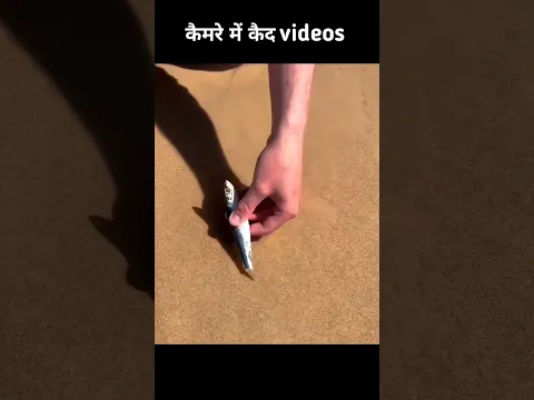 कैमरे में कैद VIDEOS #shorts