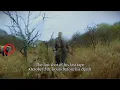 Download Lagu The HORRIFYING Final Moments Of Timothy Treadwell Were CAUGHT On Tape