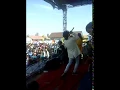 Download Lagu Keren Suaranya vokalis Gembel RI nyanyi Lagu  Scooterist - Lampu merah Rasta