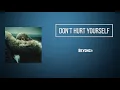 Beyoncé - Don’t Hurt Yourself (Lyrics)