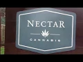 12-20-2018 Nectar--Cannabis--Portland Oregon
