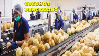 inside coconut processing in modern factory coconut oil milk and flour coconut process plant