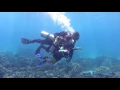 Download Lagu Alisa's intro dive with Jolly Roger Diving Center (Phuket),  03/06/17