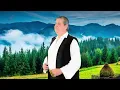 Download Lagu Ilie Roșu - A ruginit și cazanul