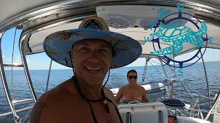 Welcome to Honu Time