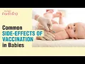 Common Side Effects of Vaccination in Babies What to Do If the Baby Has Any