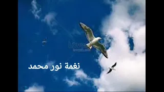 نغمة لما بدا في الافق نور محمد النقشبندي 