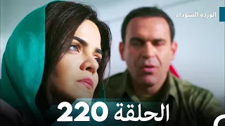 الوردة السوداء الحلقة 220  الوردة السوداء الحلقة 220
