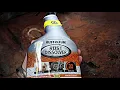 Rust Dissolver Does It Work Rustoleum Rust Dissolver