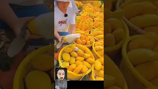 أغرب مانجا من غير بذر 