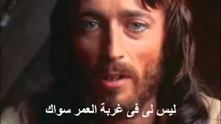 قلبي الخفاق Wmv 