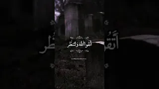 حالات واتس قران كريم محمد صديق المنشاوي 