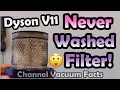 How Long Can You Avoid Washing the Filter on a Dyson V11 Cordless Vacuum