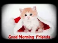 Good morning gif Super good morning gif Cat good morning gif
