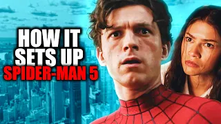 What Brand New Day Sets Up For Tom Holland s Spider-Man 5