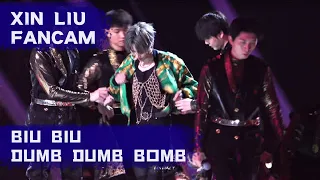 Download XIN Liu | 刘雨昕 BIUBIU \u0026 Dumb Dumb Bomb Fancam No.1 新歌舞台饭拍 MP3